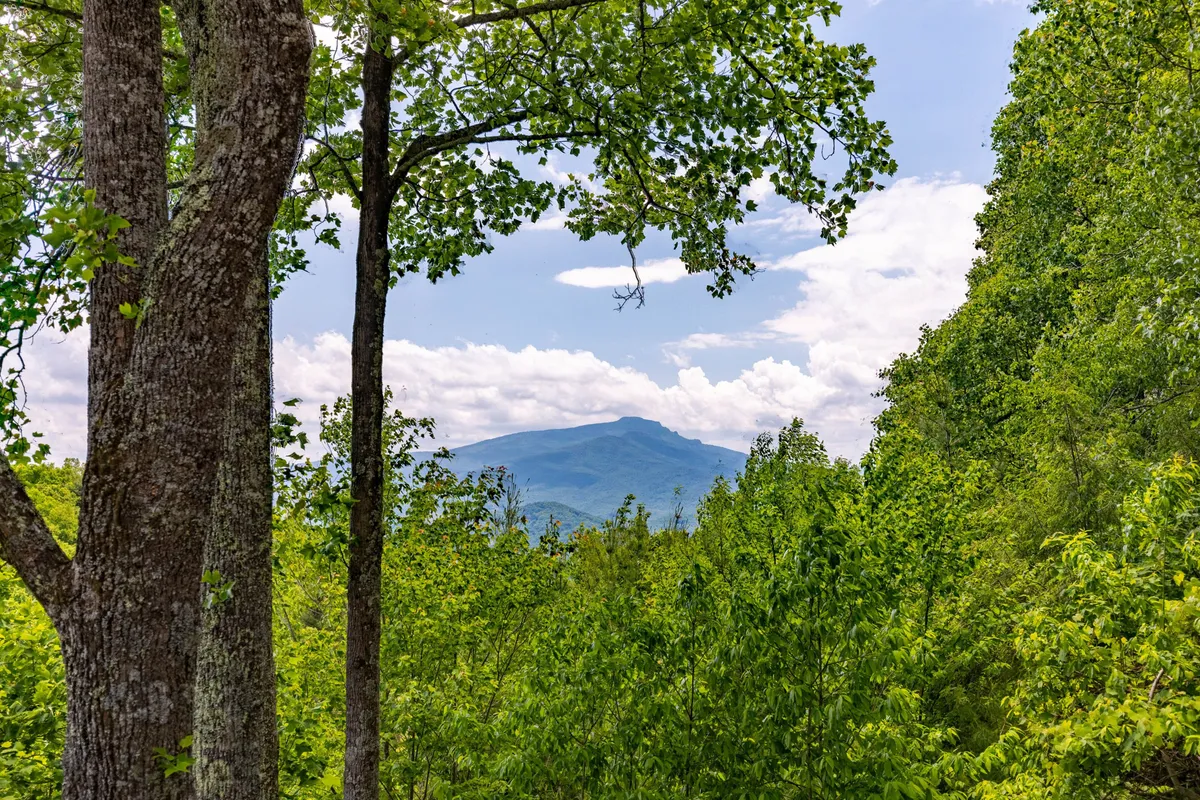 A breathtaking panoramic view of distant mountains, dense green forests, and a dramatic cloudy sky, evoking both the thrill of exploration and the peace of nature.